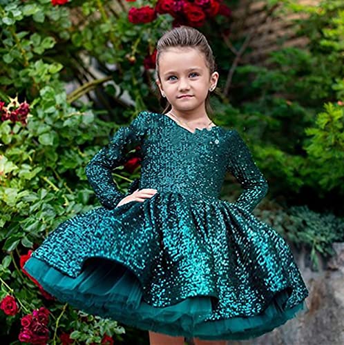Shiny Toddler Little Girls Shiny Sequins Flower Girl Formal Birthday Party Pagenat Dance Dress3