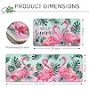 Amazon.com: Tailus Hello Summer Flamingo Kitchen Rugs Set of 2 ...