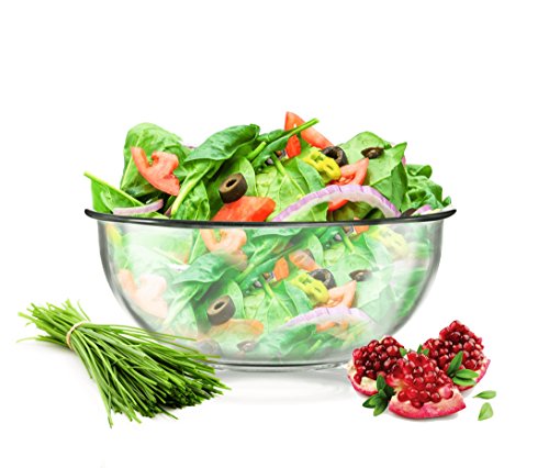 Sendez Große Salatschale 3L Salatschüssel Servierschale Schüssel Schale Hitzebeständig