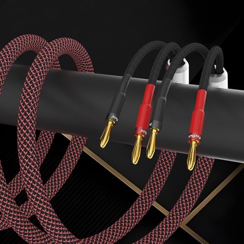 Câble de haut-parleur HiFi banane blindé anti-interférence 2m