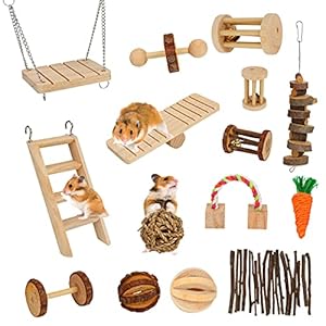 Houten Hamster speelgoed, Yideng 15 stuks kleine dieren activiteit speelgoed mooie huisdier hamster kauwspeelgoed voor…