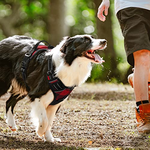 Rabbitgoo Dog Harness For Large Dogs No Pull, Adjustable Dog Walking Vest Harness With 2 Leash Clips, Comfort Padded Pet Harness With Handle, Reflective Front Body Harness, Red Plaid, Large #TOP7
