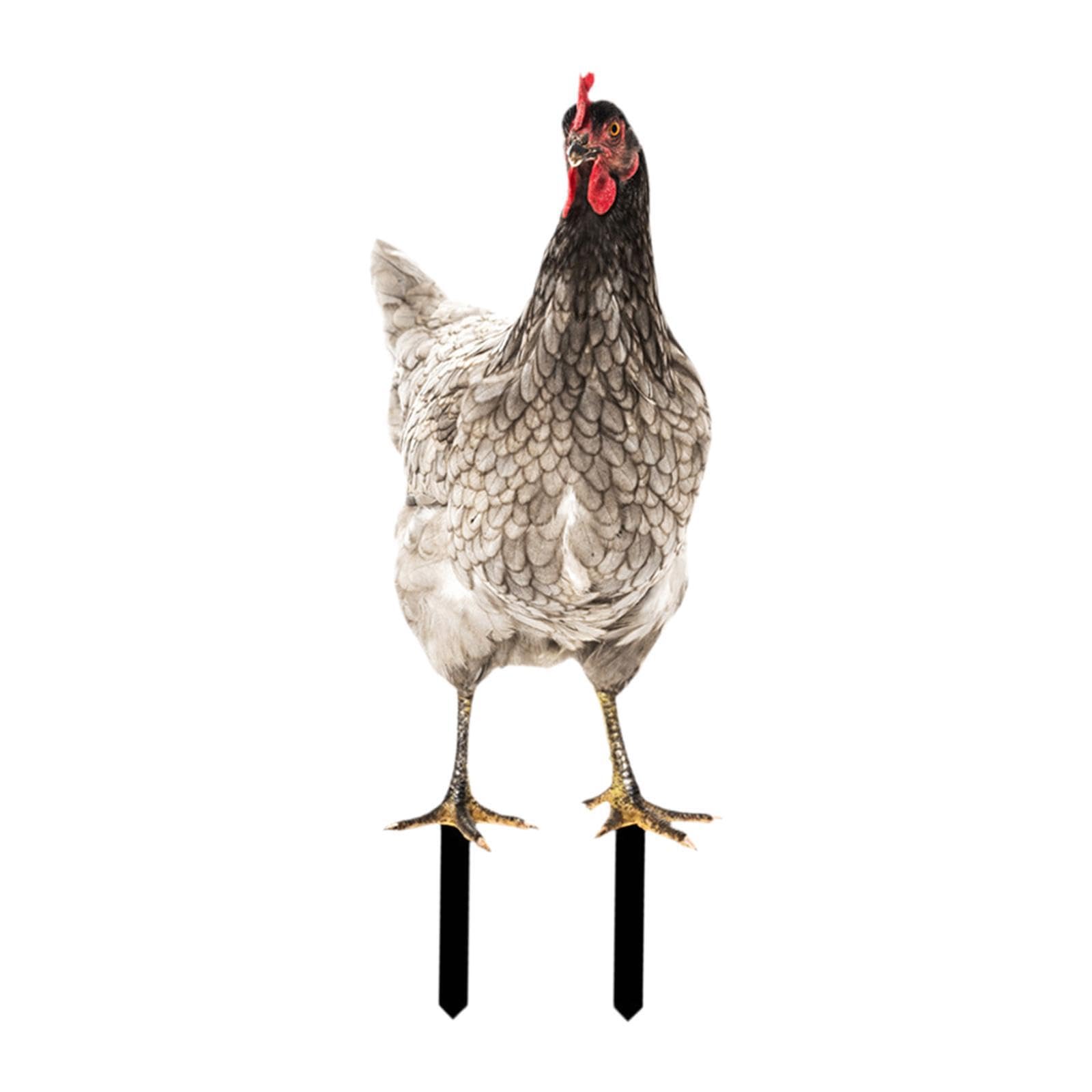 Zambuph Rooster Yard Art Sculpture Hen Lawn Ornament Captivates Guests With Beautifully Crafted Chicken Garden Statue Features Chicken Garden Statue Stake, Style E