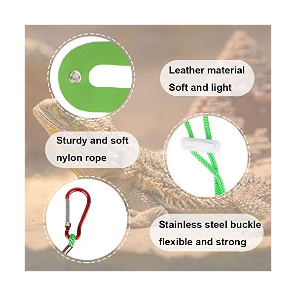Adoggygo christmas bearded dragon santa hat scarf lizard leash harness set - lizard christmas costume christmas scarf and hat + 3 pack bearded dragon harness leash for reptile christmas (christmas) - image 6
