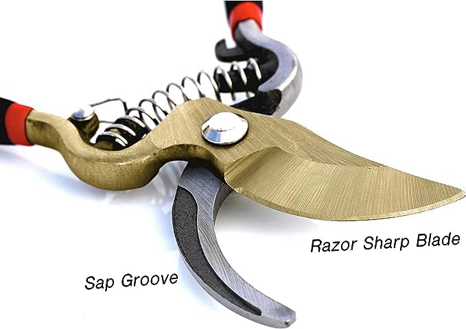 Garden GURU Indestructible Titanium Garden Clippers - Professional Bypass Hand Pruner Pruning Shear with Comfort Grip Handles for Gardening, Trimming, and Yard Work - Hardened Steel & Titanium Blade - Image 3