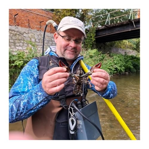 Page de couverture de T&iacute;zl&aacute;b&uacute; r&aacute;kok, akik r&aacute;nk r&uacute;gj&aacute;k a val&oacute;s&aacute;got