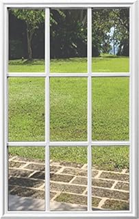22 x 36 Entry Door Clear Glass Insert (9 Lite), White