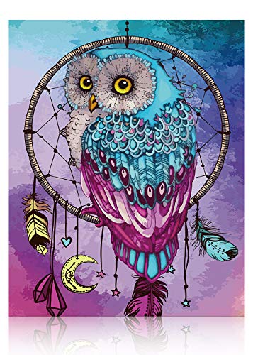 Gronda Malen DIY Blau Eule Vogel Tiere Bild Traumfänger Lila Set Natur Malerei Heimwerken Dekor Schlafzimmer Cover