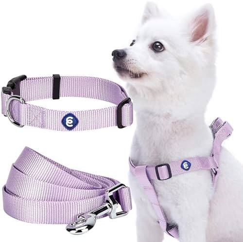 Blueberry Pet Essentials Matching Dog Collar Leash Harness Set in Lavender, Adjustable Classic Solid Color Nylon Collar with Harness & 5 ft Leash for Medium Dogs