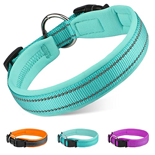 MASBRILL Collier pour Chien Réglable, Collier de Chien en Nylon Néoprène Rembourré Doux Colliers de Chien Réfléchissants pour Chiots Petits Chiens de Taille Moyenne, Bleu, M Cover