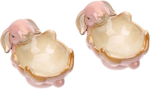 PRETYZOOM 2 tazones de entrada para aperitivos, figura de llave, contenedor para teléfono, bar, cuenco, decoración de nueces, bandeja para platos,