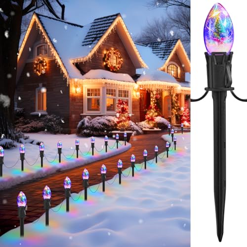 C9 Christmas Lights Outdoor, 25FT 20 LED C9 String Lights with Stakes