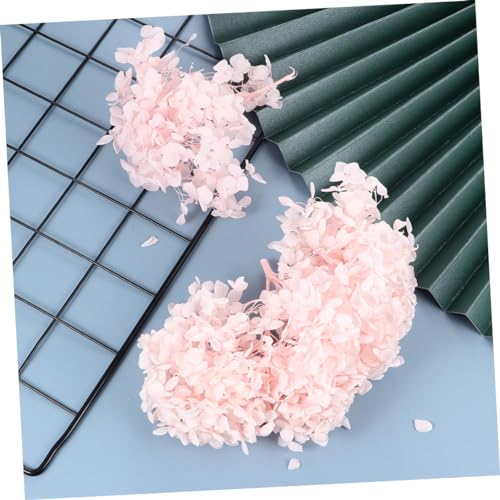 Pétalos de flores hortensia preservados 20g rosa miniatura 4