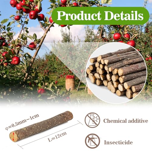 Sukh Natural Organic Apple Sticks - 250g Hamster Chew Stick Hams Rabbit Bunny Gerbil Guinea Pig Squirrel Chinchilla Small Animal Chew Sticks - Image 4