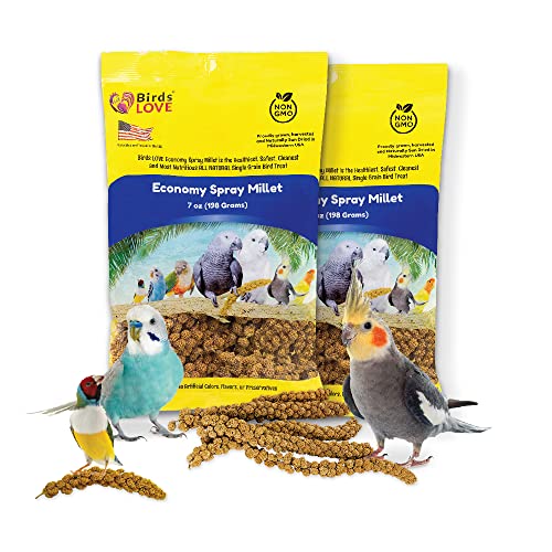 Birds LOVE Economy & Thin Special Spray Millet | GMO-Free (No Stems Only Edible Tops) for Birds Cockatiel, Lovebird, Parakeet, Finch, Canary All Parrots Healthy Treat 7 oz -Pack of 2