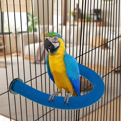 Image of Rypet U Shape Parrot Perch Stand Toy for Paw Grinding Clean Stick Exercise, Rough-Surfaced Quartz Bird Perch Standing Cage Accessories for for Small Parakeets Cockatiels Conures Macaws Finches(Blue)