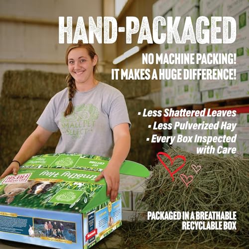 Image of Small Pet Select 1st Cutting Timothy Hay for Rabbits & Guinea Pigs, 20 lb | High Fiber Natural Hay, Grown in USA, Long Coarse Strands for Dental Wear, For Chinchillas, Hamsters, Bunnies & Small Pets