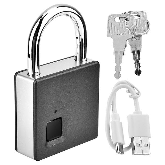 Cadenas biométrique portable en acier inoxydable étanche pour casier et sac