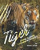  Tiger: A fatal predator with none of the buddy
