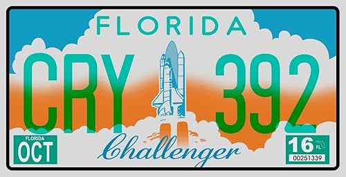 Miniatura 4 de - Juego de 10 placas de metal para automóviles de Estados Unidos - réplicas de placas americanas reales de los estados americanos más famosos - MAD