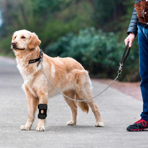Image of Dog Elbow Protector (2)