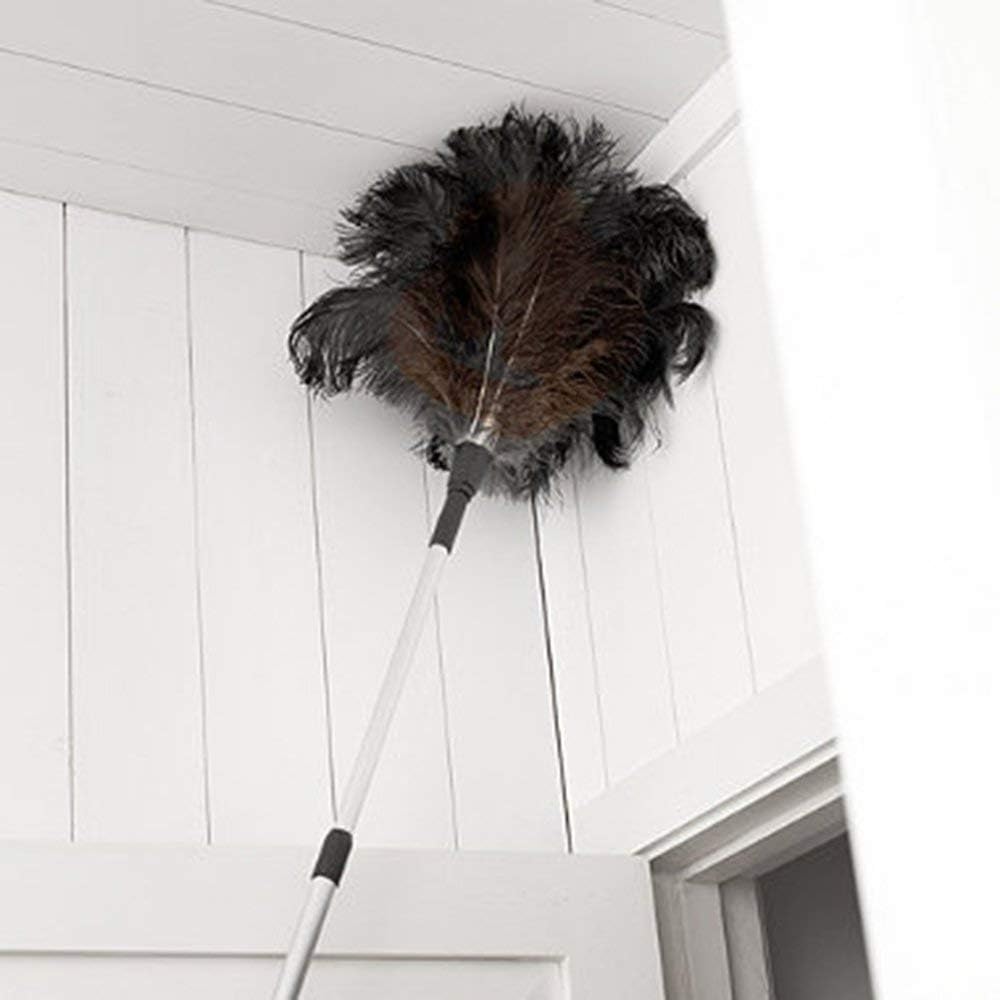 The Home Valet Company Extra Large Ostrich Feather Duster head 60cm long reach with extendible handle Brown