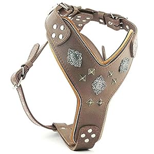 Bestia Aztec Grey Big Dogs Leather Chest Plate Harness