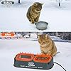 Dahivs Heated Cat Bowl for Outdoor Cats in Winter, 56 OZ Heated Water Food Bowl with Raised Brackets to Protect Pet's Neck, Outdoor Heated Pet Bowl with 2 Stainless Steel Bowl, No Frozen Water or Food #5