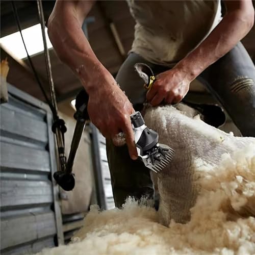 Tondeuse électrique pour moutons 13 dents avec 6 vitesses réglables - 7