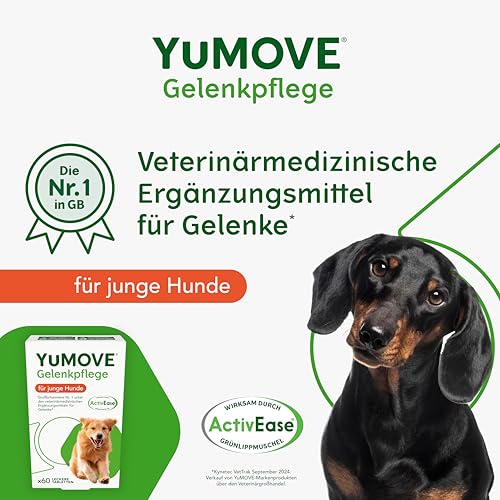YuMOVE Gelenktabletten Hund Bis 5 Jahre 60 Stück - Patent Angemeldet ActivEase Grünlippmuschel Hund & Glucosamin Junge Hunde - Frühzeitige Unterstützung Gelenke & Beweglichkeit - Hunde Gelenktabletten