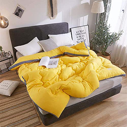 UKJYJHHFG Piumino in Cotone Invernale, Caldo Nucleo del Piumino Doppio Strato Bordo Tridimensionale Cotone Lavato ad Acqua Imbottito Nucleo Caldo - Semplice Nucleo del Piumino Autunnale e Invernale