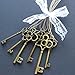 Bingcute 6 Type Of 30Pcs Bronze Vintage large Skeleton Keys -Vintage Keys Charms skeleton key set