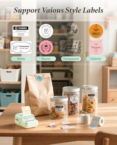 Image of NIIMBOT B21 Label Maker, Thermal Label Printer, Portable Inkless Label Makers for Home /Office /Business, with 1 Pack 50x30mm White Label, Compatible with iOS & Android (Mint Green)