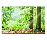 bruchsicher und leichter als Glas mit blickdichtem Druck = hochwertiges Acrylglasbild