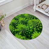 HYOSXW Alfombra de Baño Antideslizante 80x80 cm,Marco de Col y brócoli romanesco. Superficie Fractal Natural con patrón espin,Microfibra Súper Absorbente y Suave, Alfombrilla Lavable y Ducha o Bañera