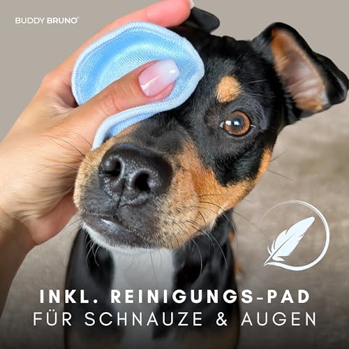 Testnote: Sehr gut - Hundeshampoo sensitiv mit Sanddorn - Fellpflege gegen Juckreiz & Geruch - 100% vegan & natürlich - für glänzendes Fell & Vitale Haut - 250ml