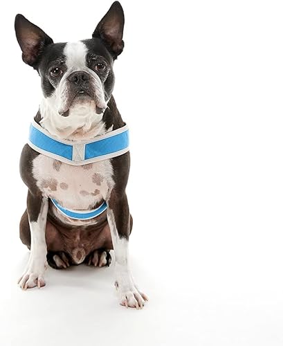 Miniatura 8 de Gooby Simple Step-in III - Arnés para perro chico, resistente a los rasguños, hecho de suave malla transpirable, arnés para perros medianos y