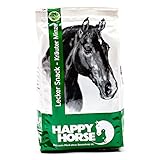 Happy Horse