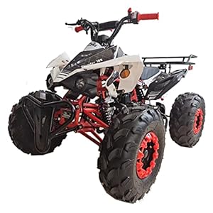 X-PRO 125cc ATV with Automatic Tran...