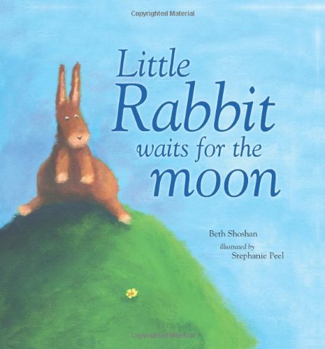 Buy Little Rabbit Waits for the Moon (Meadowside Picture Books) Book ...