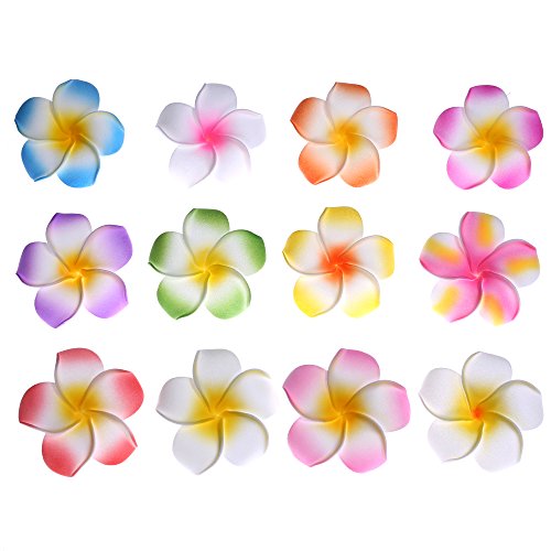 Youbami 2.35" Hawaiian Plumeria Foam Flower Hair Clip Accessory Set Of 24 Pcs