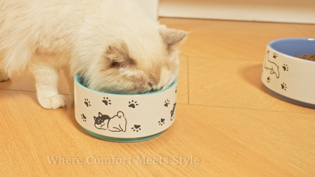 Ceramic Dog Bowl With Happy Dog Pattern - 8 Inch Food & Water Dish For Medium To Large Dogs