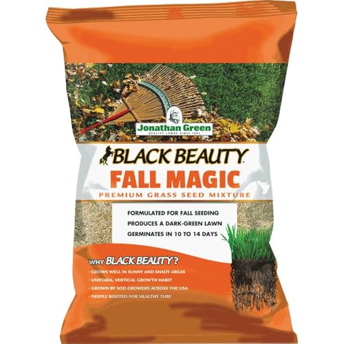 Jonathan Green (10770) Black Beauty Fall Magic Grass Seed - Cool Season Lawn Seed (25 lb)