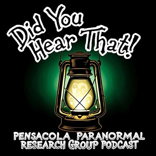 『Did You Hear That!』のカバーアート