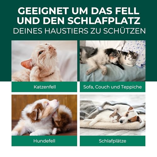 Silberkraft Flohmittel, Floh-Spray 500 ml - Flohspray für Hund, Katze und andere Haustiere - Umgebungsspray - ideales Anti-Floh-Mittel gegen Flöhe, Zecken, Parasiten, Ungeziefer