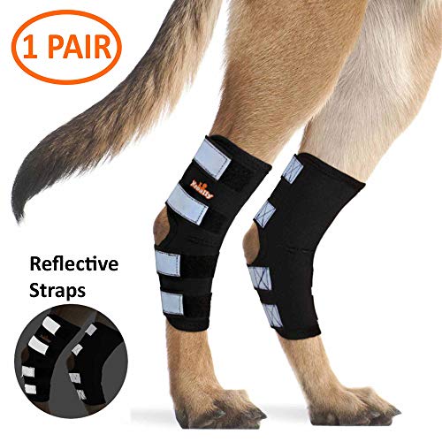 NeoAlly Dog Rear Leg Braces [Long Version] Canine Hind Leg Wraps with Safety Reflective Straps for Joint Injury and Sprain Protection, Wound Healing and Loss of Stability from Arthritis (Black L Pair)