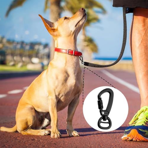 Karabinerhaken mit Drehgelenk Schwarz 2 Stück für Hunde Leinen Befestigung Robuste Drehkarabinerhaken mit Drehgelenk für Hundeleine SchlüsselanhäNger und Outdoor Zubehör