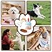 AYSYR 3 Stück Hundekuchen Geburtstag Spielzeug Set,Welpenspielzeug Quietschendes Plüschtier,Welpen Zubehör Geburtstagsknochen,Dog Toys Geburtstagsparty-Zubehör,Hunde Spielzeug Kauspielzeug