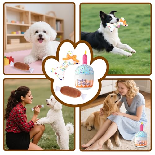 AYSYR 3 Stück Hundekuchen Geburtstag Spielzeug Set,Welpenspielzeug Quietschendes Plüschtier,Welpen Zubehör Geburtstagsknochen,Dog Toys Geburtstagsparty-Zubehör,Hunde Spielzeug Kauspielzeug