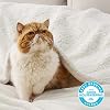 Bedsure GentleSoft Sherpa Fleece Throw Blanket for Couch, Non-Heated, Thick and Warm Throw for Women and Men, Soft Fuzzy Plush Blanket for Spring, Cream, 50x60 Inches